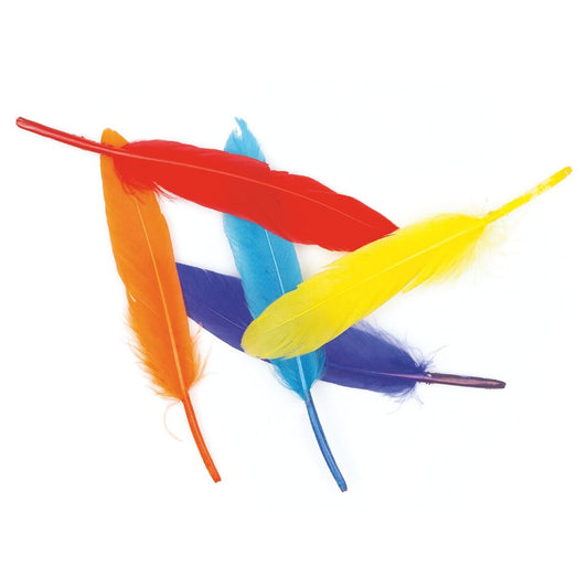 24pcs Assorted Colour Feathers