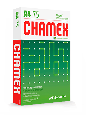 1 Bale Chamex Paper (A4)