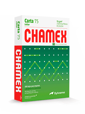 1 Bale Chamex Paper (Letter)